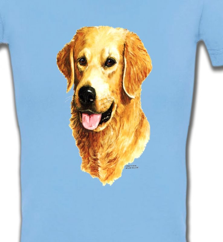 Tête de Golden Retriever (IBG)