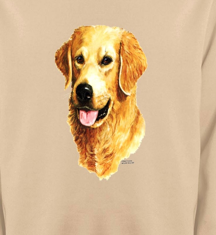 Tête de Golden Retriever (IBG)