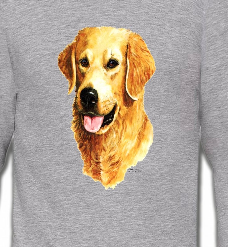 Tête de Golden Retriever (IBG)