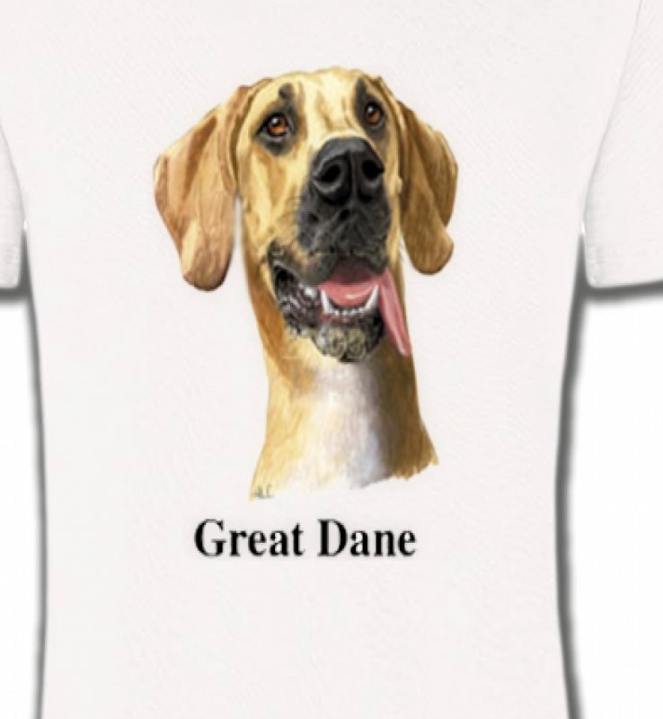 Dogue Allemand (G)