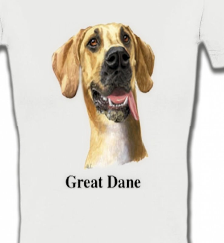 Dogue Allemand (G)