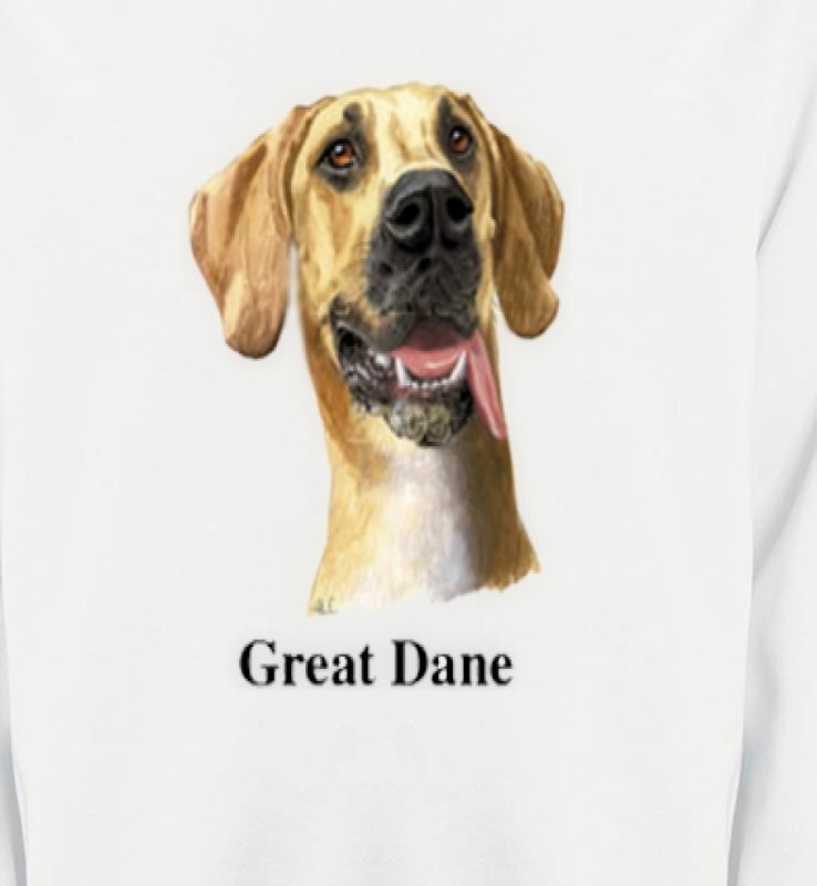 Dogue Allemand (G)