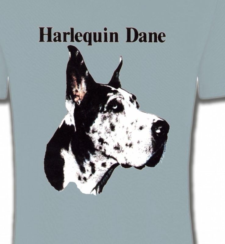 Dogue Allemand Noir et Blanc (C)