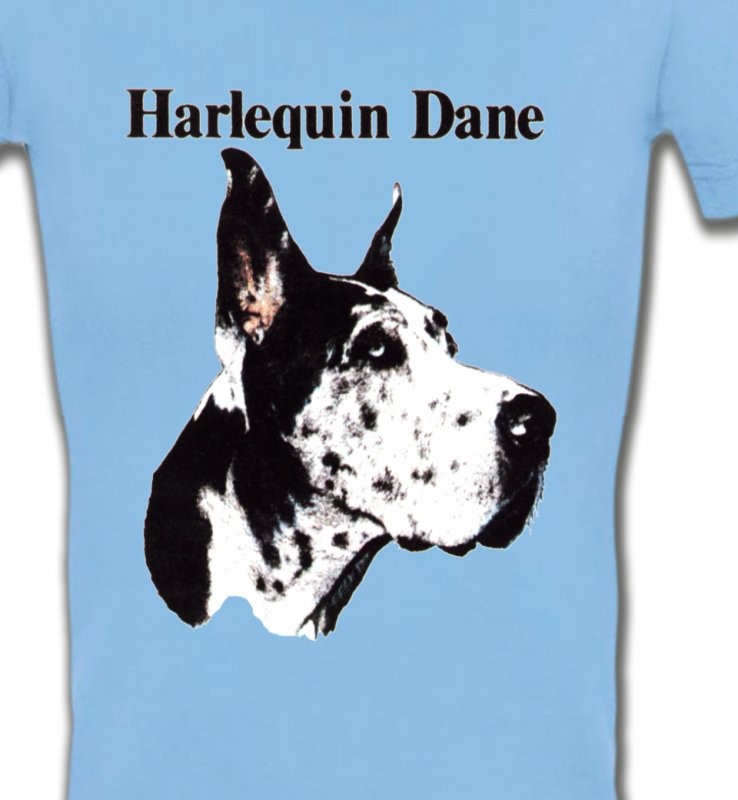 Dogue Allemand Noir et Blanc (C)