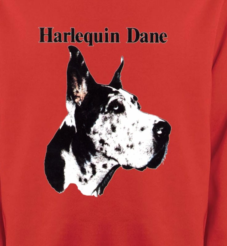 Dogue Allemand Noir et Blanc (C)