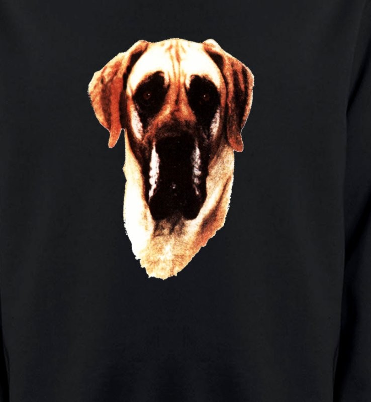 Dogue Allemand (A)