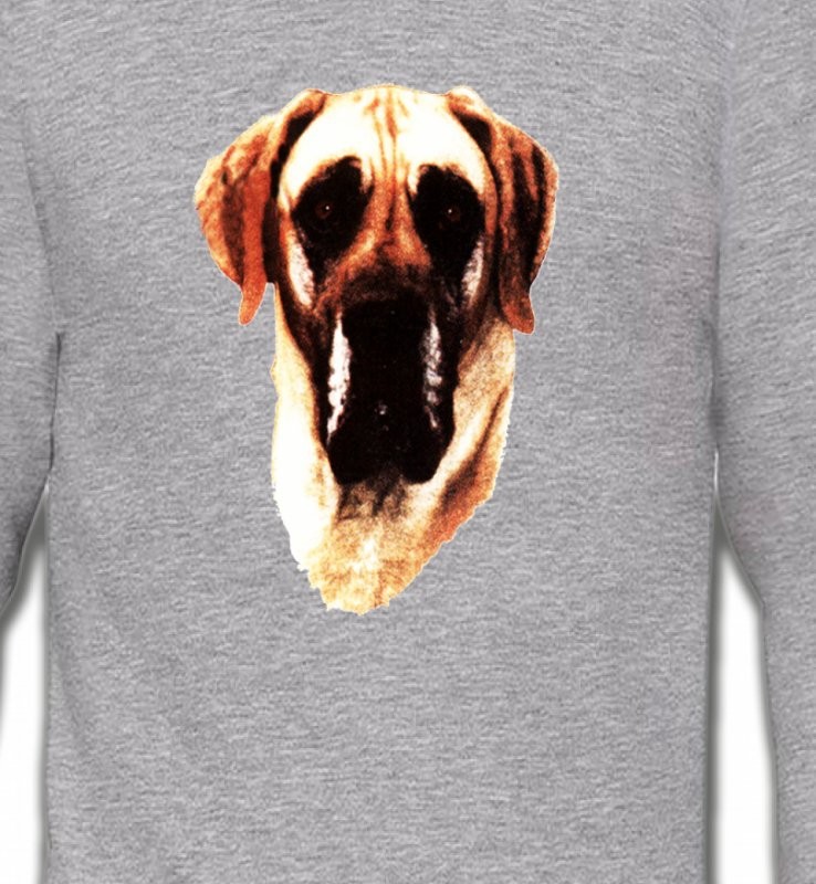 Dogue Allemand (A)