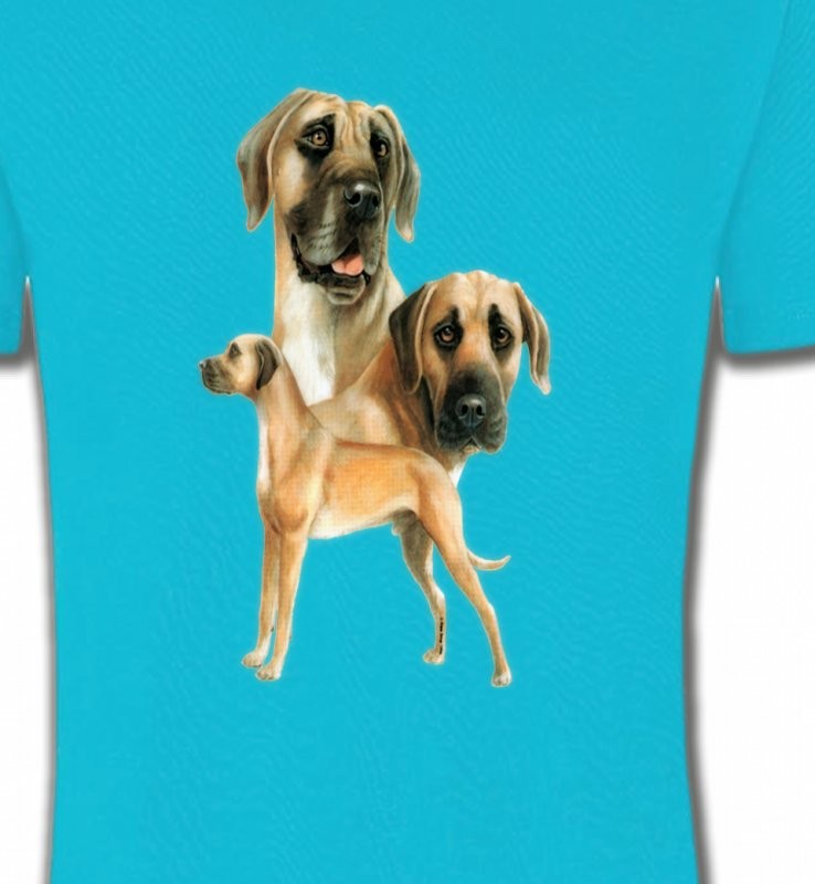 Dogue Allemand (B)