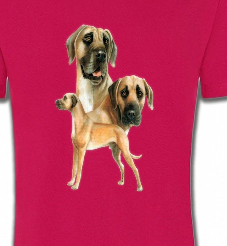 Dogue Allemand (B)