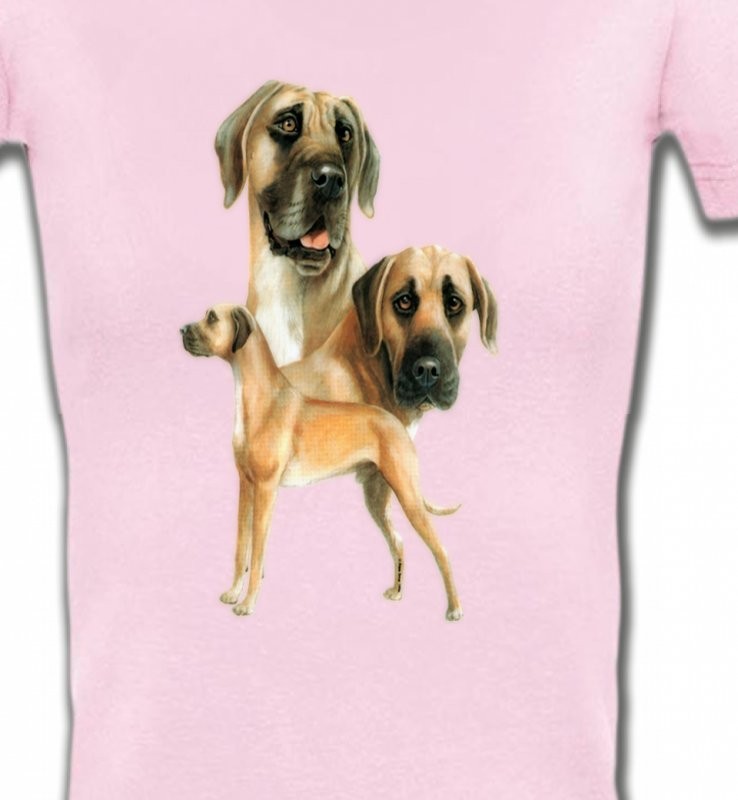Dogue Allemand (B)