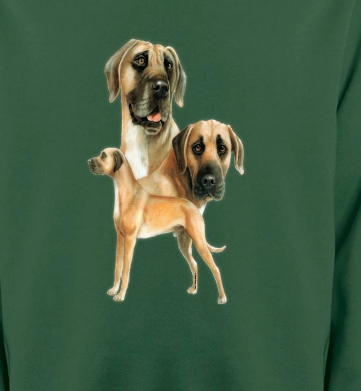 Dogue Allemand (B)