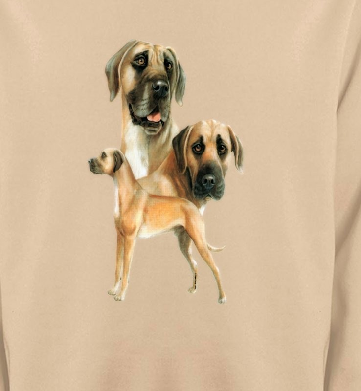 Dogue Allemand (B)