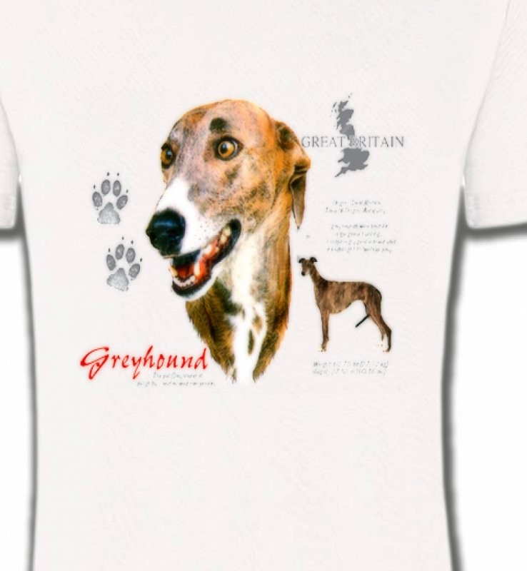 Greyhound Lévrier  (N)