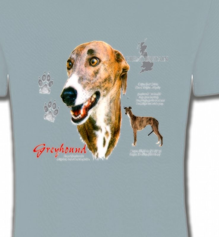 Greyhound Lévrier  (N)