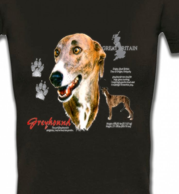 Greyhound Lévrier  (N)
