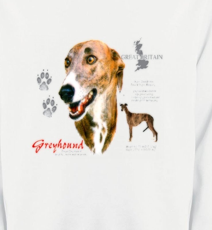 Greyhound Lévrier  (N)