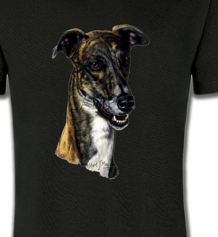 Tête de Greyhound Lévrier(G)