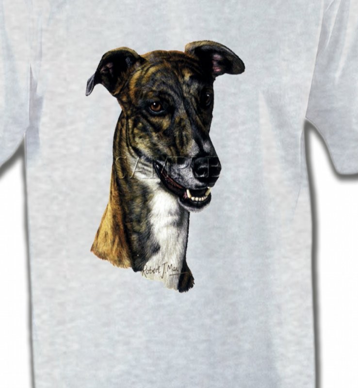 Tête de Greyhound Lévrier(G)