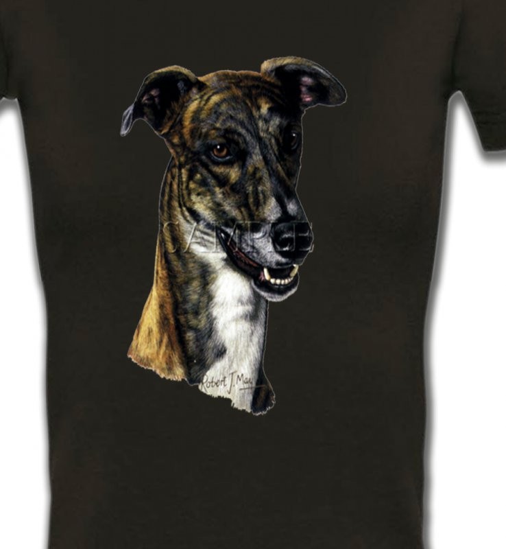 Tête de Greyhound Lévrier(G)