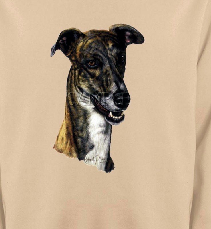 Tête de Greyhound Lévrier(G)
