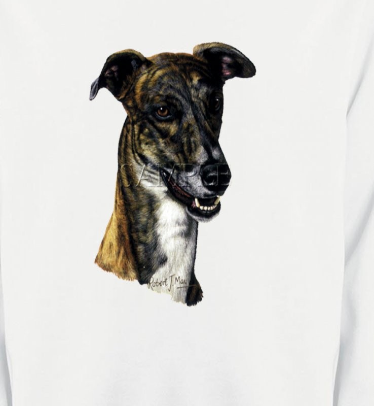 Tête de Greyhound Lévrier(G)