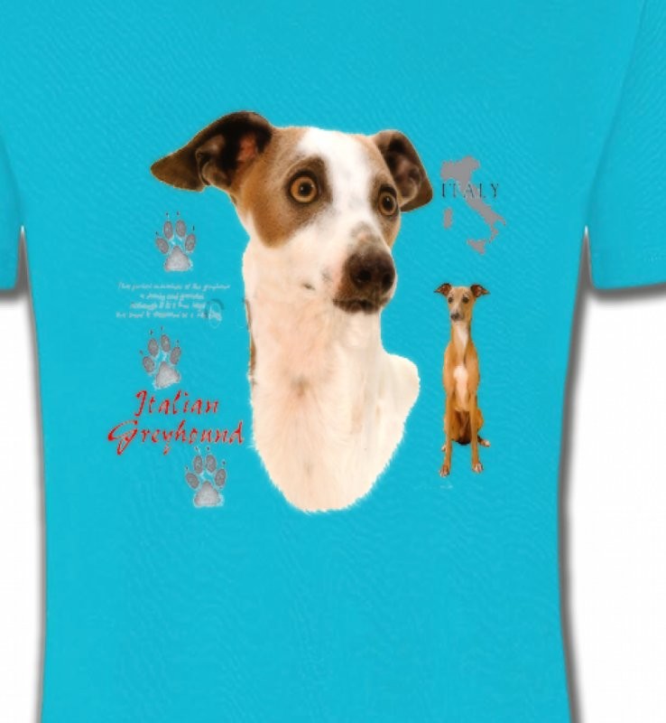 Lévrier Italien Greyhound (J)