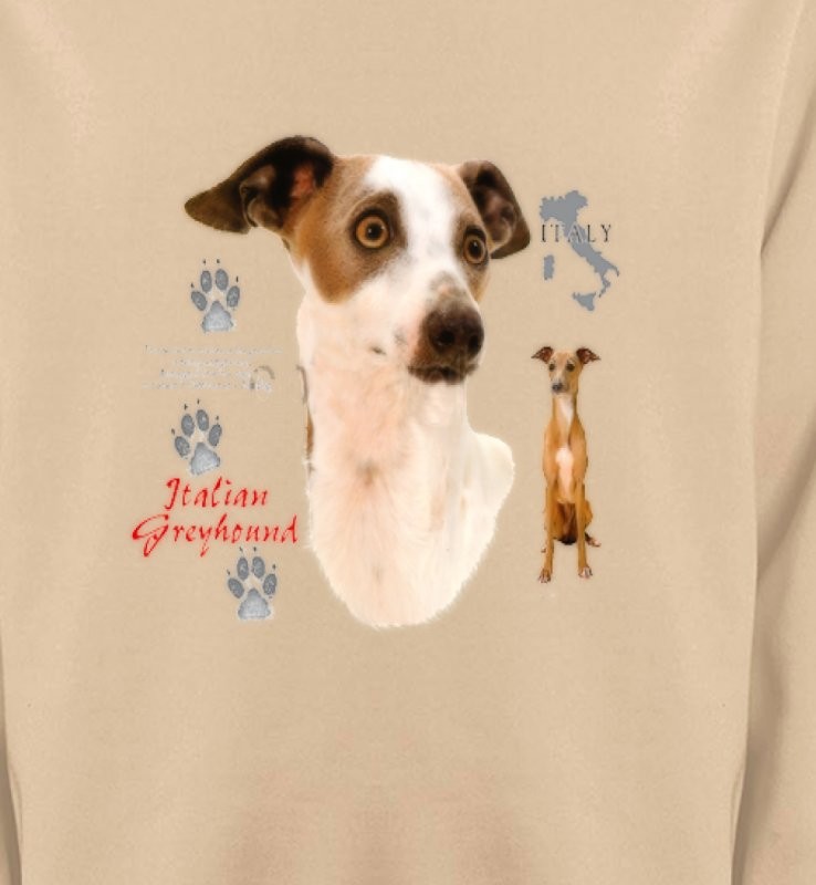 Lévrier Italien Greyhound (J)