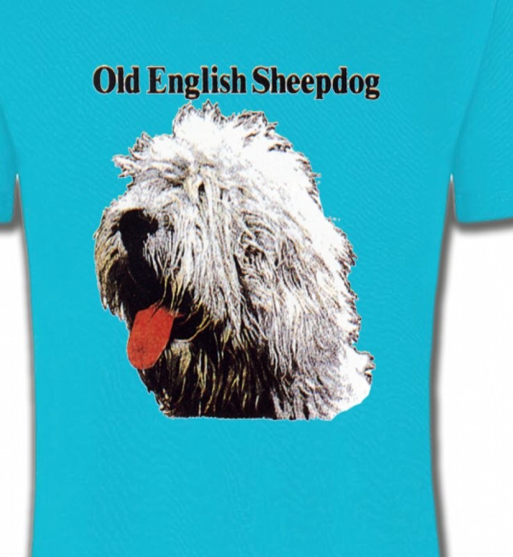 Tête de Bobtail Berger Anglais  (A)