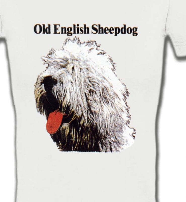 Tête de Bobtail Berger Anglais  (A)