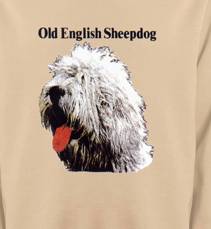 Tête de Bobtail Berger Anglais  (A)