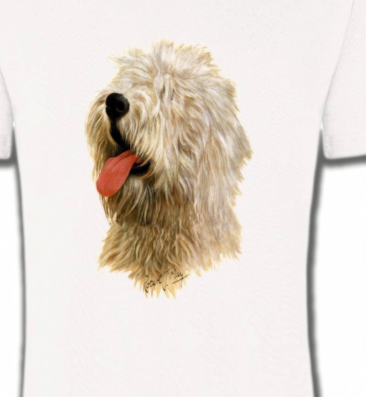 Tête de Bobtail Berger Anglais  (B)