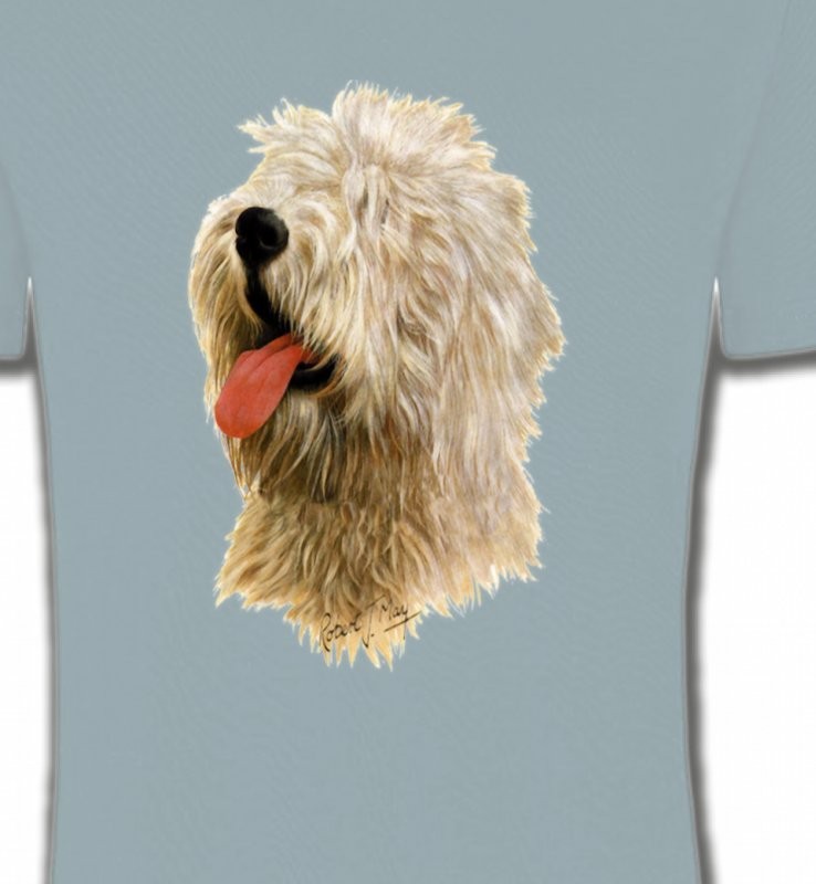 Tête de Bobtail Berger Anglais  (B)