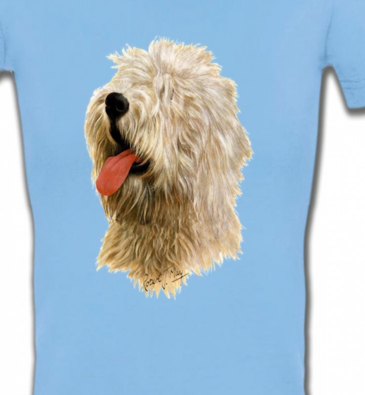 Tête de Bobtail Berger Anglais  (B)