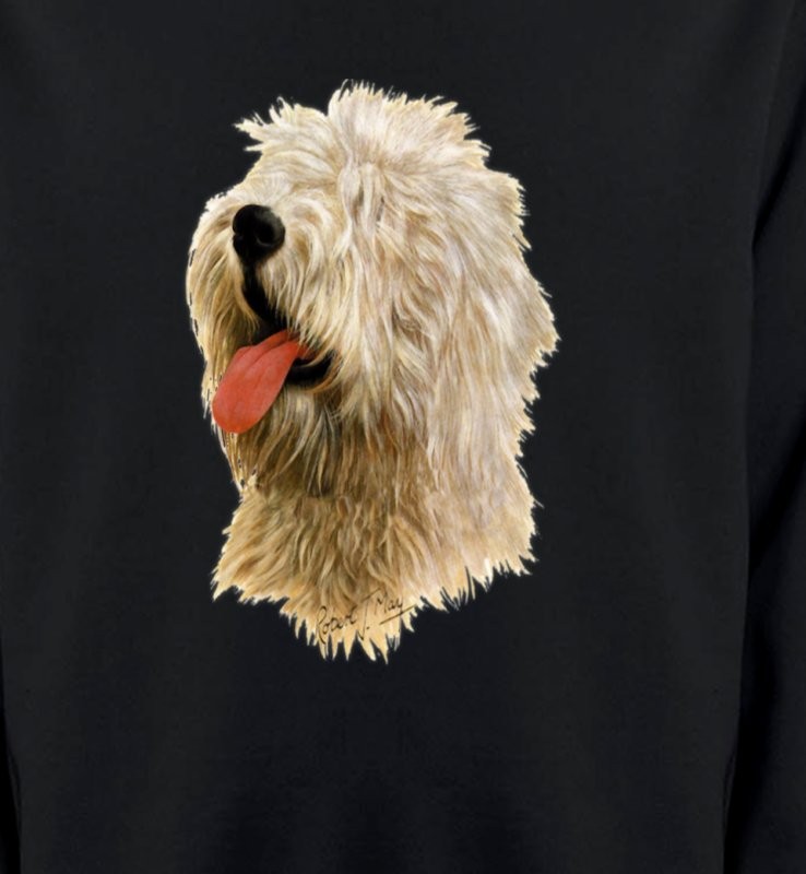 Tête de Bobtail Berger Anglais  (B)