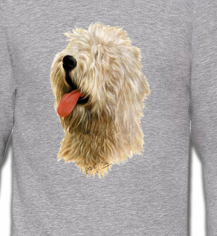 Tête de Bobtail Berger Anglais  (B)