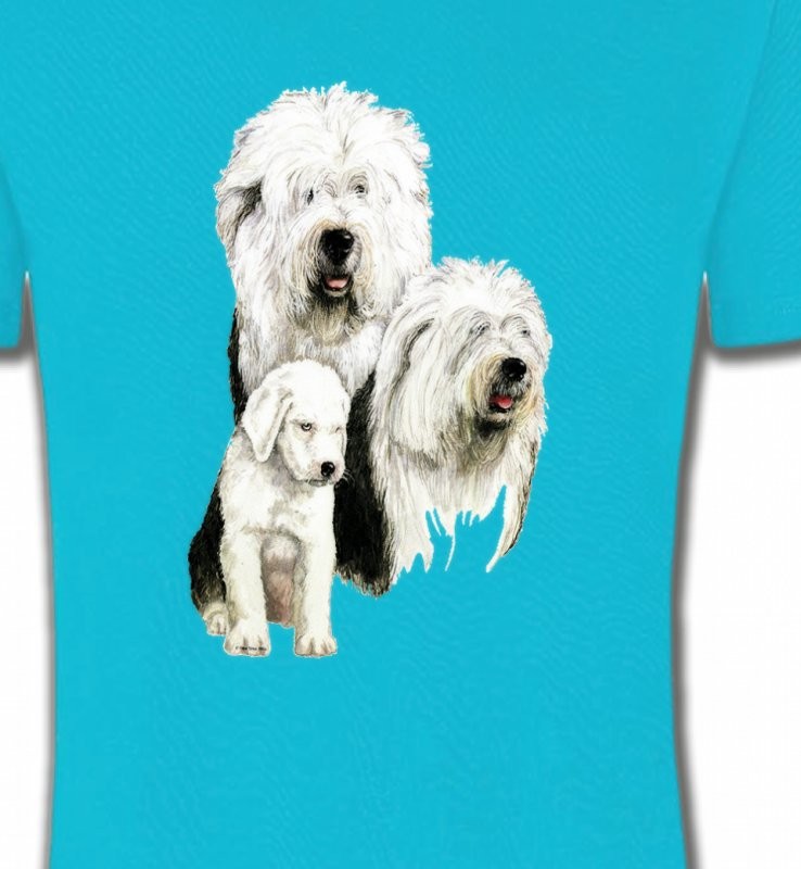 Famille Bobtail Berger Anglais (D)