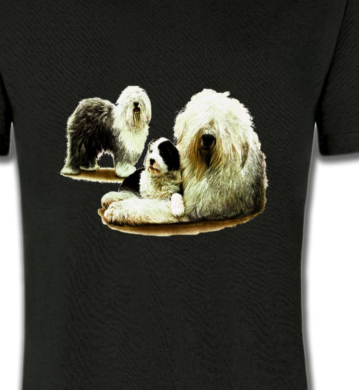 Famille Bobtail Berger Anglais (E)