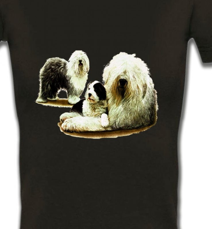Famille Bobtail Berger Anglais (E)
