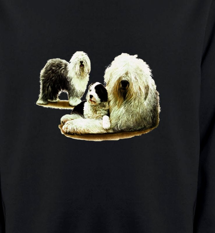 Famille Bobtail Berger Anglais (E)