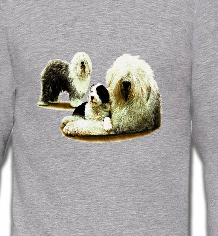 Famille Bobtail Berger Anglais (E)