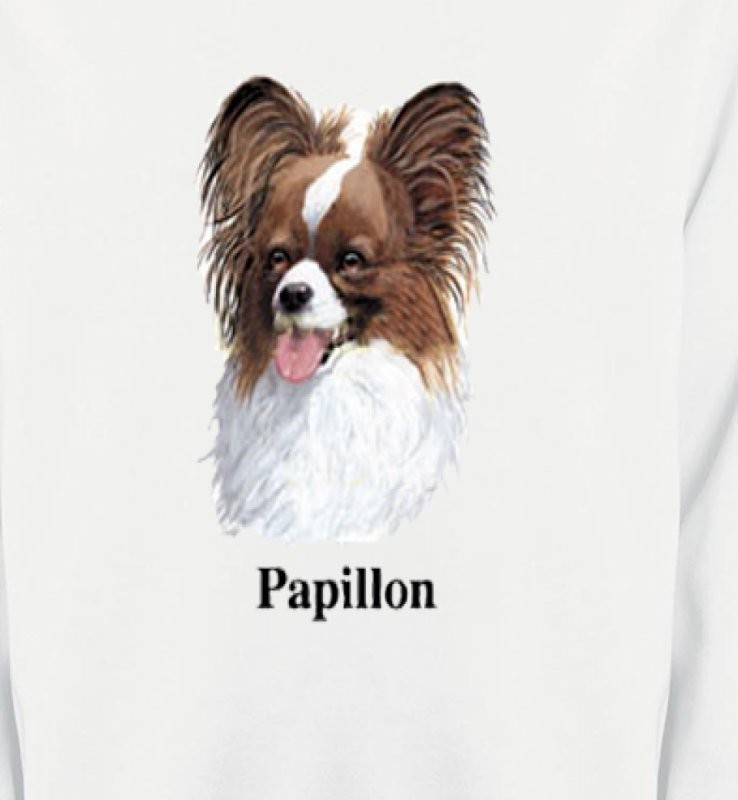 Tête de Papillon (E)