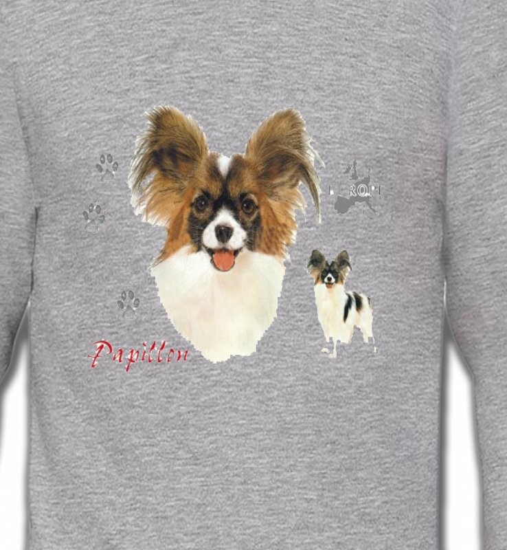 Papillon (D)