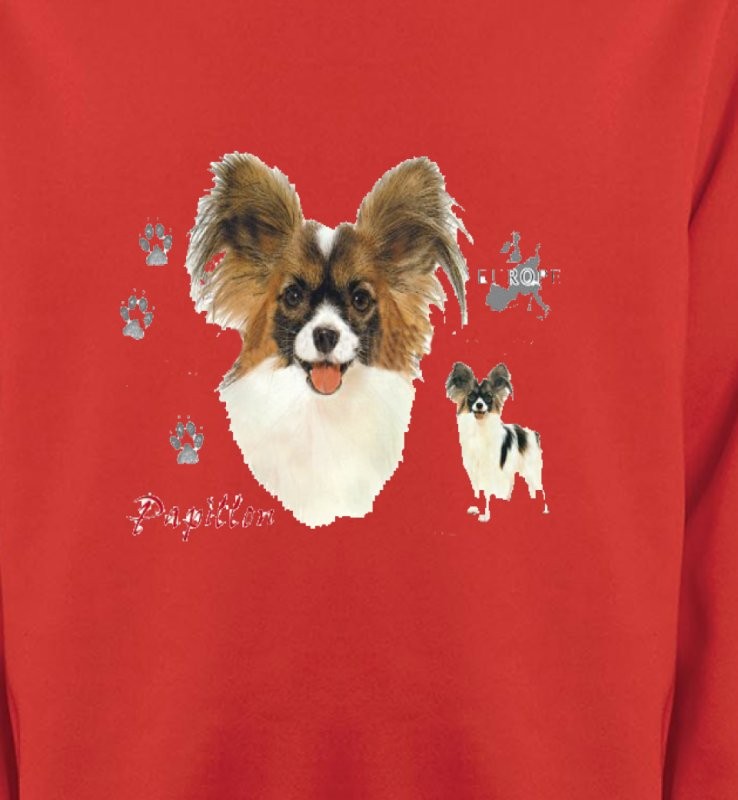 Papillon (D)