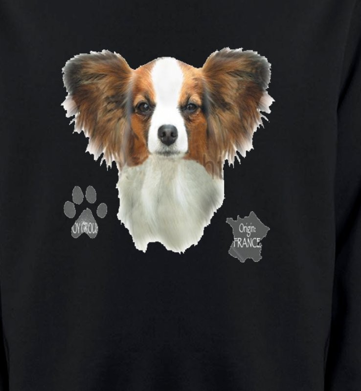 Jeune Papillon (G)