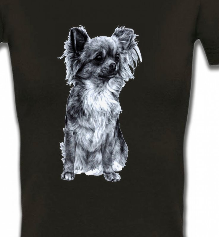 Papillon gris (C)