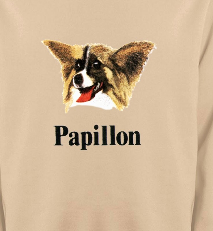 Tête Papillon (B)