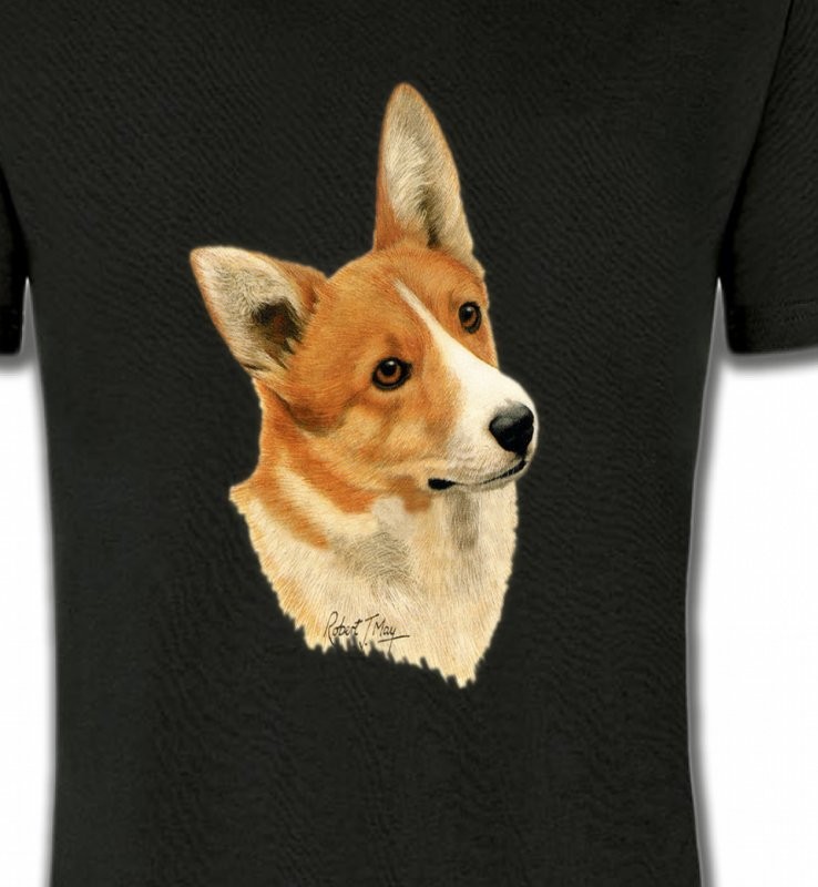 Tête de Welsh Corgi (E)
