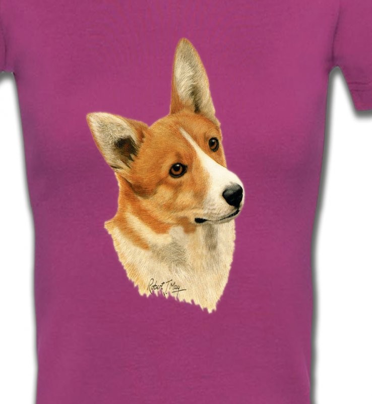 Tête de Welsh Corgi (E)
