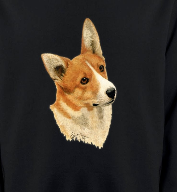 Tête de Welsh Corgi (E)
