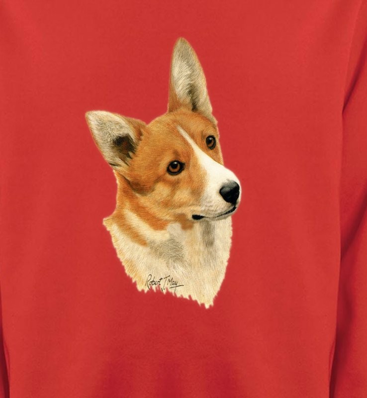 Tête de Welsh Corgi (E)